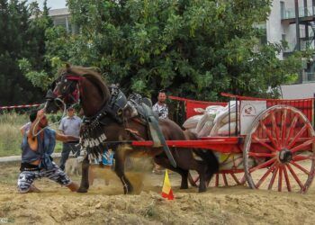 El tiro y arrastre regresa a Valencia con su tradicional concurso puntuable para la liga federativa