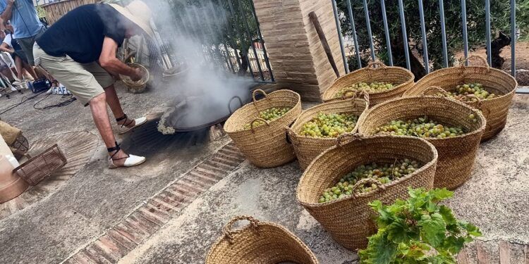 Ròtova revive un año más, por quinto consecutivo, la fiesta de l’Escaldà de la Pansa