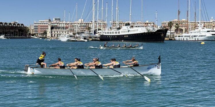 Falucho o Llaüt Valencià, tradición marinera del Mediterráneo convertida en deporte de remo