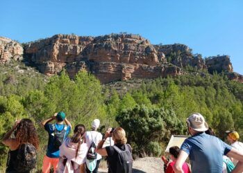 Vuelve el único festival de ornitología de la Comunitat Valenciana con un gran programa gratuito