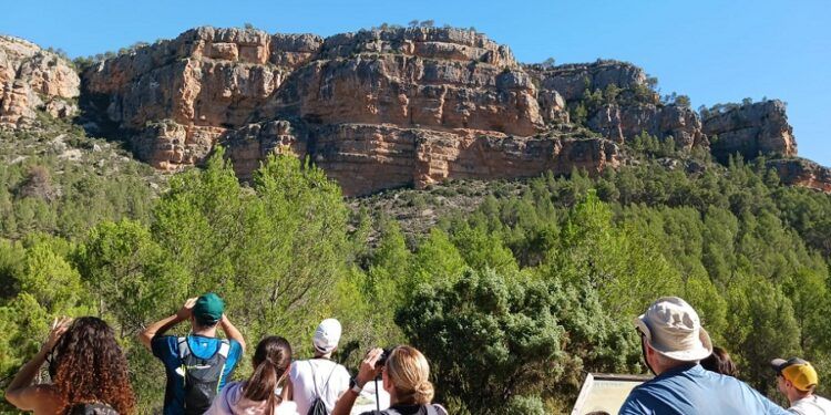 Vuelve el único festival de ornitología de la Comunitat Valenciana con un gran programa gratuito