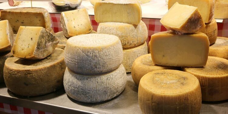 La gran Fiesta del Queso llega al centro histórico de Valencia con seis días de cultura quesera