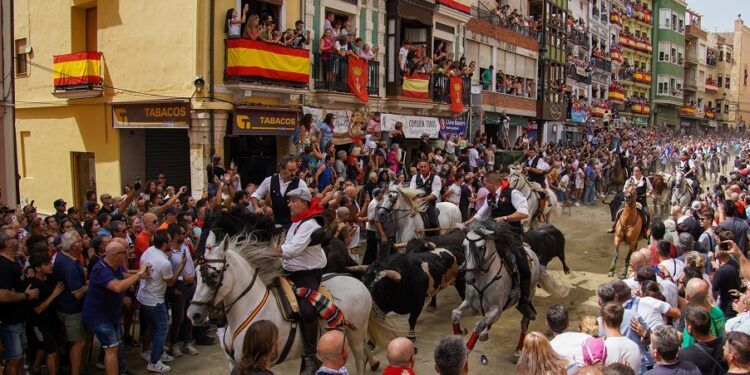 Llegan las Fiestas Patronales 2025 de Segorbe con la Entrada de Toros y Caballos y Feria del Jamón