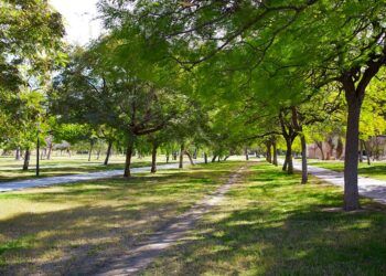 Regresan las rutas guiadas gratuitas por el Jardín del Turia, el gran pulmón verde de Valencia