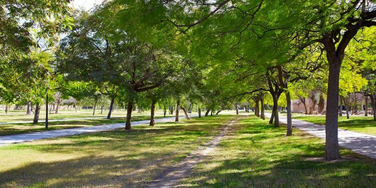 Regresan las rutas guiadas gratuitas por el Jardín del Turia, el gran pulmón verde de Valencia