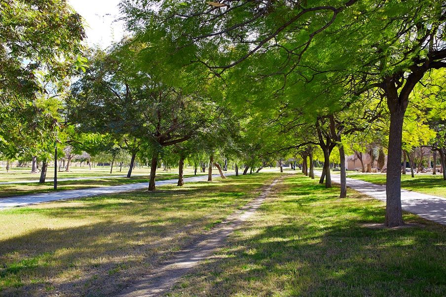 Regresan las rutas guiadas gratuitas por el Jardín del Turia, el gran pulmón verde de Valencia