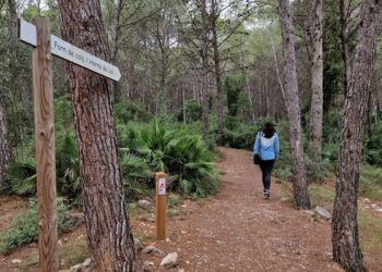 El Bovalar de Sant Jordi, un bello paraje natural con un juego de pistas convertido en ruta familiar