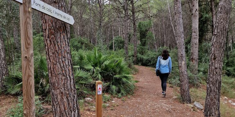 El Bovalar de Sant Jordi, un bello paraje natural con un juego de pistas convertido en ruta familiar