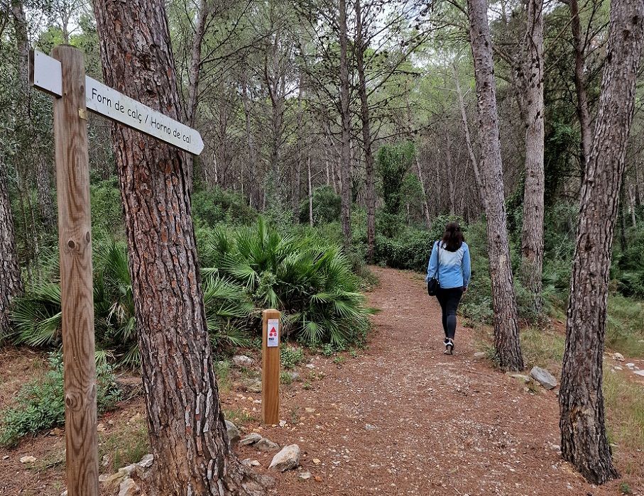 El Bovalar de Sant Jordi, un bello paraje natural con un juego de pistas convertido en ruta familiar