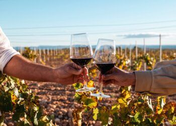 Tierra Bobal celebra el Día Mundial del Turismo 2025 con enoturismo, naturaleza y gastronomía