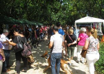Gran Feria Solidaria de los Animales este sábado 18 de octubre en el Jardín del Turia de Valencia