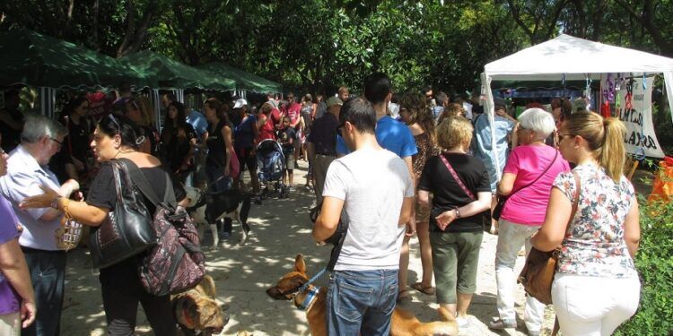 Gran Feria Solidaria de los Animales este sábado 18 de octubre en el Jardín del Turia de Valencia