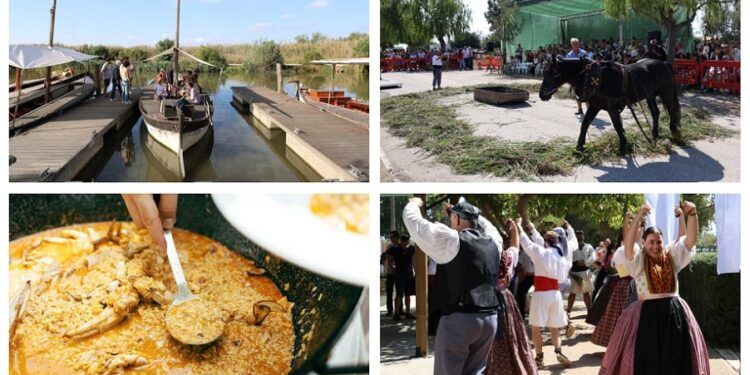 Catarroja acoge este domingo la Fiesta de la Siega 2025 con paseos en barca, arroces y actividades
