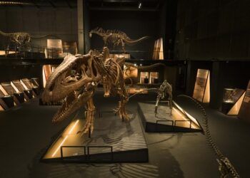 Nuevas exposiciones en CaixaForum Valencia: dinosaurios, un viaje sonoro y los mundos de Alicia
