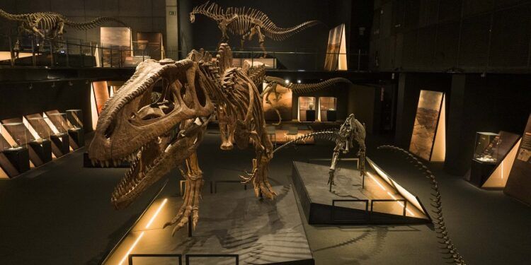 Nuevas exposiciones en CaixaForum Valencia: dinosaurios, un viaje sonoro y los mundos de Alicia