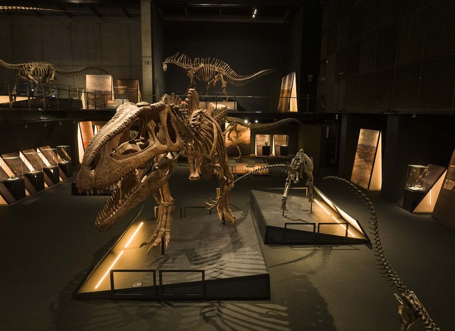 Nuevas exposiciones en CaixaForum Valencia: dinosaurios, un viaje sonoro y los mundos de Alicia