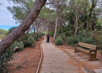 Las mejores rutas por la Albufera de Valencia: descubre el parque natural a pie y en bicicleta