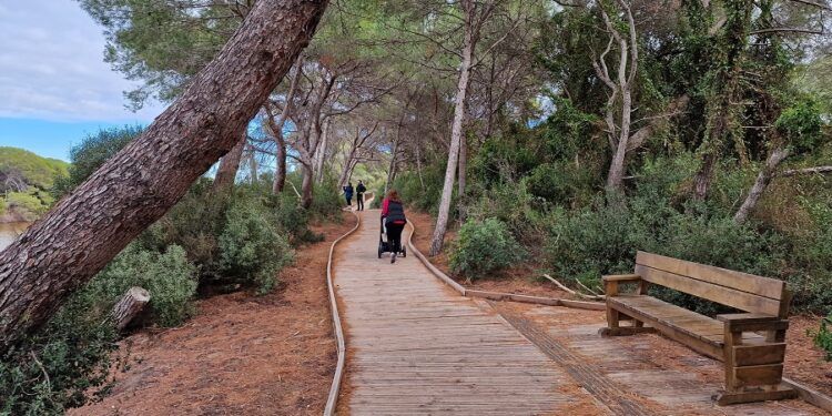 Las mejores rutas por la Albufera de Valencia: descubre el parque natural a pie y en bicicleta