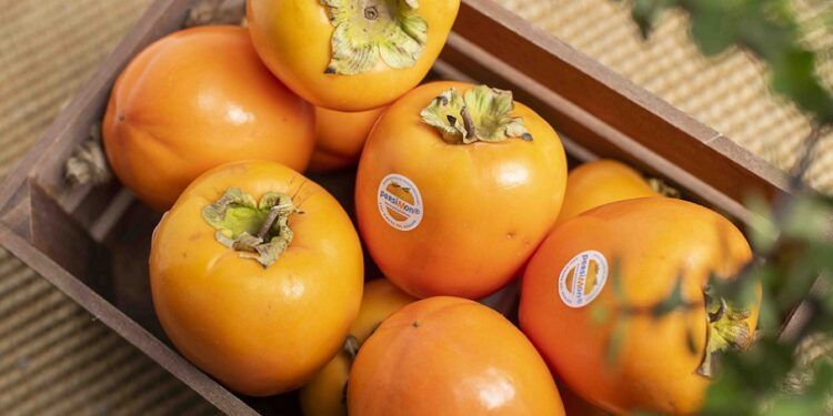 ¿Sabías que Valencia es referente mundial en la producción de Kaki Persimon, una fruta de otoño?