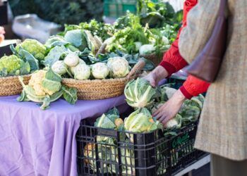 Quart de Poblet estrena “Mercats de l’Horta” con productos locales y venta directa de agricultores