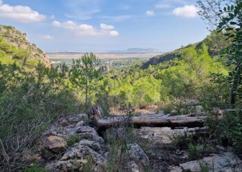 La ruta circular de Les Fontanelles de Corbera, un bello recorrido por un paraje natural municipal