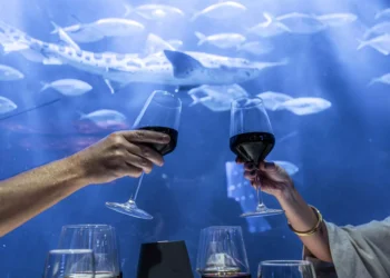 Exclusiva cena maridaje con Bodegas Vicente Gandía en el único restaurante submarino de Valencia
