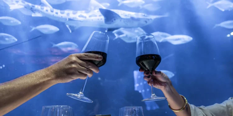 Exclusiva cena maridaje con Bodegas Vicente Gandía en el único restaurante submarino de Valencia