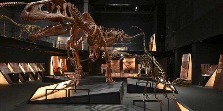 El mayor dinosaurio del mundo llega a Valencia con la exposición ‘Dinosaurios de la Patagonia’