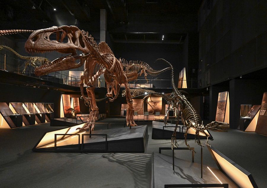 El mayor dinosaurio del mundo llega a Valencia con la exposición ‘Dinosaurios de la Patagonia’