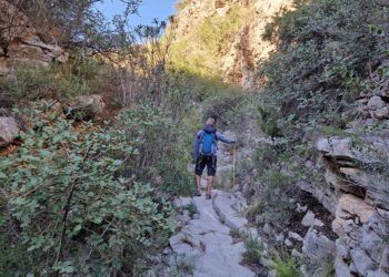 El Barranc de les Voltes, un tramo histórico del viejo camino de Gandia a Barx para descubrir a pie