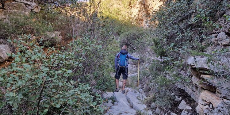 El Barranc de les Voltes, un tramo histórico del viejo camino de Gandia a Barx para descubrir a pie