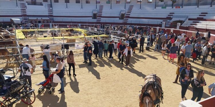 Vuelve la Fira de Fires de Ondara, una de las ferias más históricas de la Comunitat Valenciana
