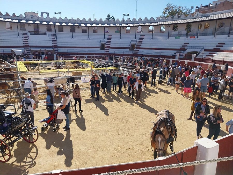 Vuelve la Fira de Fires de Ondara, una de las ferias más históricas de la Comunitat Valenciana