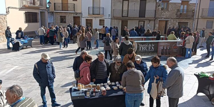 La trufa negra vuelve a Culla todos los domingos con el Mercat de la Trufa i Productes del Maestrat