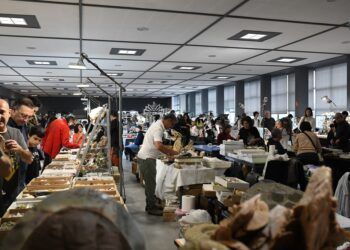Minerval, la segunda feria de minerales más antigua de España, vuelve este fin de semana a Valencia