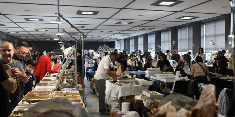 Minerval, la segunda feria de minerales más antigua de España, vuelve este fin de semana a Valencia
