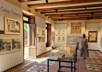 La Navidad toma la Devesa con talleres, naturaleza y la Casa Forestal del Saler como escenario