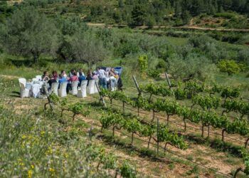 Descubre el lado más auténtico del interior de la Comunitat Valenciana y reconecta con lo real