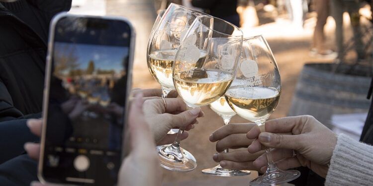 Las bodegas de la Toscana valenciana preparan un evento único con vinos, tapeo local y música