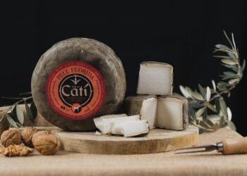 World Cheese Awards 2025: estos son los quesos valencianos premiados en los Óscar del queso