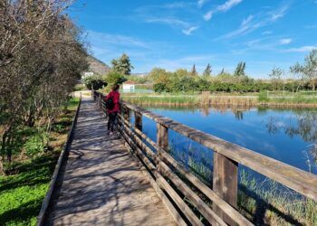 La ruta de la Marjal de Gandia, un recorrido circular que pasa por un humedal en grave peligro