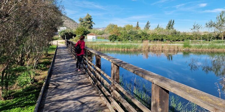 La ruta de la Marjal de Gandia, un recorrido circular que pasa por un humedal en grave peligro