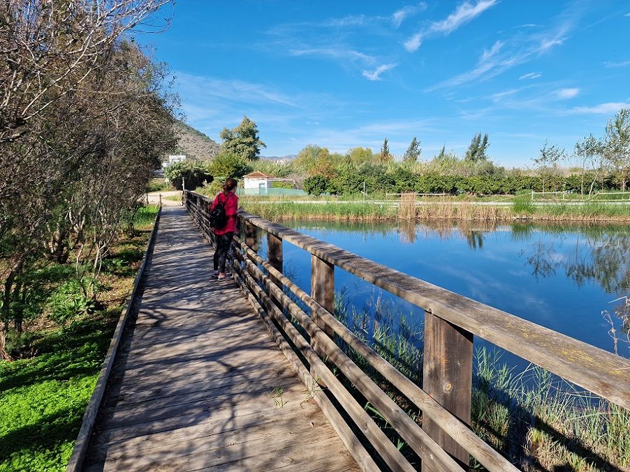 La ruta de la Marjal de Gandia, un recorrido circular que pasa por un humedal en grave peligro