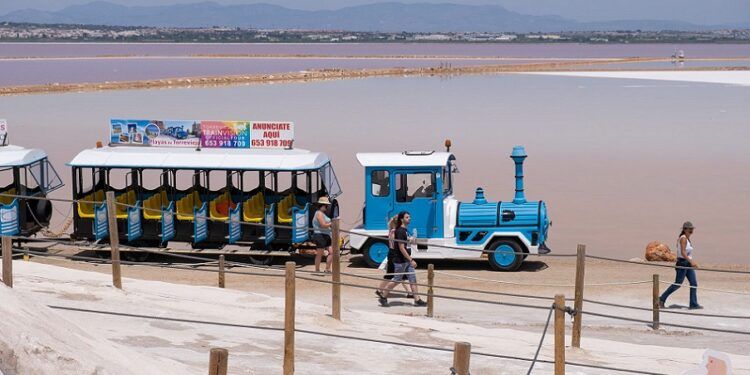 Visita las Salinas de Torrevieja en tren turístico, a pie o en bici y descubre la gran historia de la sal