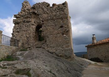 Xodos esconde un paraíso ornitológico: tiene el castillo de Castellón con mayor diversidad de aves