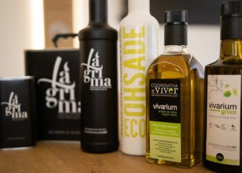 La Fiesta del Aceite Nuevo vuelve a Viver para celebrar la recuperación del olivar y los nuevos AOVE