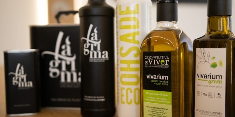 La Fiesta del Aceite Nuevo vuelve a Viver para celebrar la recuperación del olivar y los nuevos AOVE