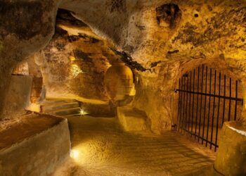Requena, elegida Ciudad Española del Vino 2026 por su cultura, tradición e historia vitivinícola