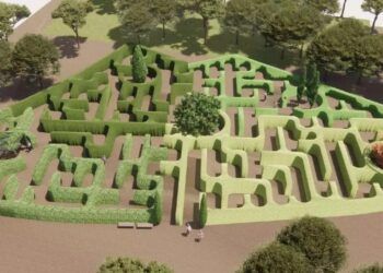 Un laberinto vegetal convertirá una zona del Marjal dels Moros en Sagunto en un espacio educativo