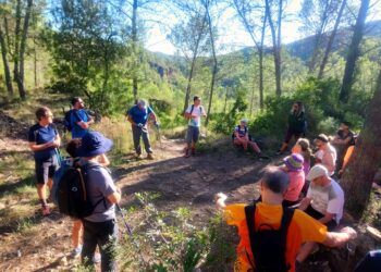 Nuevas rutas guiadas gratuitas de “Caminando con la Diputación” para recorrer Castellón en 2026